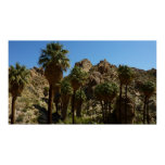 Lost Palms Oasis Print