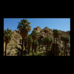 Lost Palms Oasis Print