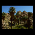 Lost Palms Oasis Print