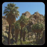 Lost Palms Oasis Sticker