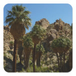 Lost Palms Oasis Sticker