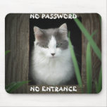 Lost Password? Mousepad