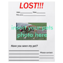 LOST PET FLYER - vertical