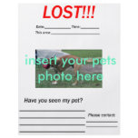 LOST PET FLYER - vertical