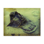Lost postcards