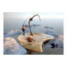 postcard - 