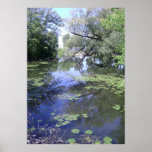 Lost Posters