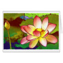 Lotos cards