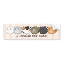 lots and lots of kawaii cats bumper sticker