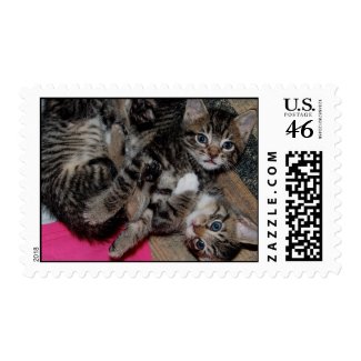 Lots 'o' Kittens! stamp