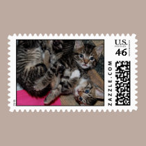 Lots 'o' Kittens! stamps