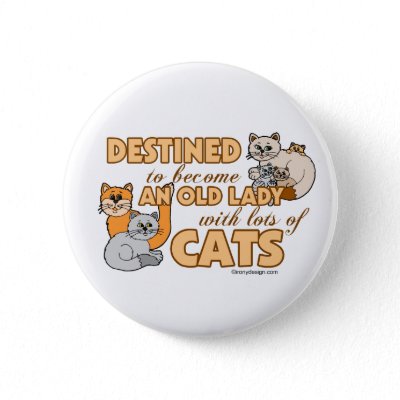 images of cats. Lots Of Cats Pin by