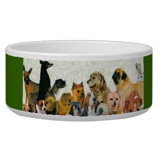 Lots of Dogs petbowl