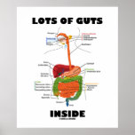 Lots Of Guts Inside (Digestive System) Print