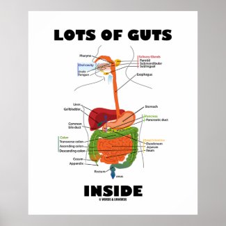 Lots Of Guts Inside (Digestive System) Print