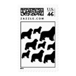Lots of Newfoundland dogs Postage Stamp