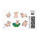Lots of Pigs or Piggies Stamp