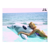 Lotti B Swimming with Dolphin Poster posters