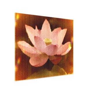 Lotus1 Stretched Canvas Print