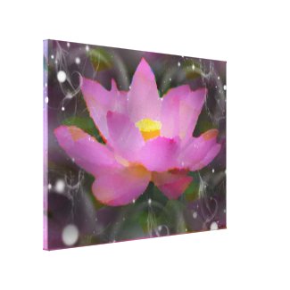 Lotus3 Stretched Canvas Print