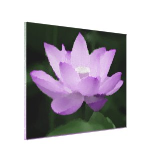 Lotus6 Stretched Canvas Print