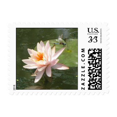 Lotus and dragonfly stamp by iiiyaaa