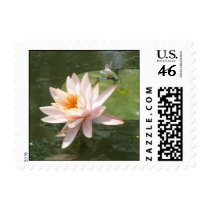 Lotus and dragonfly stamp