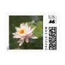 Lotus and dragonfly stamp