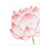 Lotus Art Postcard postcards