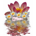 Lotus Believe T-Shirt by webgrrl Lotus Believe T-Shirt