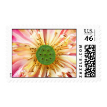 Lotus Bloom postage by Heartworks Lotus Bloom postage