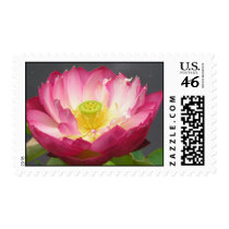 Lotus blossom stamp