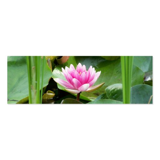 Lotus Bookmark Business Card (front side)