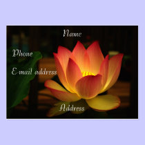 Lotus Business Card business cards