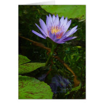Lotus cards