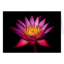 Lotus Greeting Card