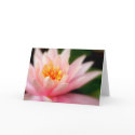 Lotus/Card