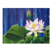 Lotus Dream Postcard
