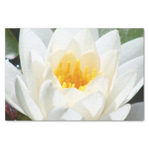 Lotus Flower 10" X 15" Tissue Paper Zazzle