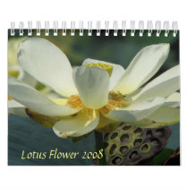 Lotus Flower 2008 calendars