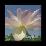 Lotus Flower and Blue Sky Magnet