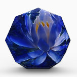 Lotus flower and its meaning awards