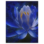 Lotus flower and its meaning flyers