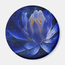 Lotus flower and its meaning magnets