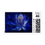 Lotus flower and its meaning postage