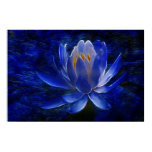 Lotus flower and its meaning poster
