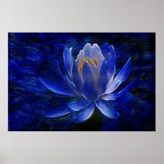 Lotus flower and its meaning poster