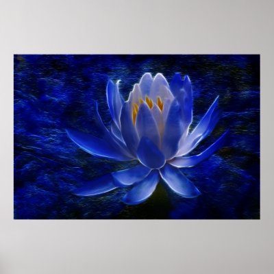 Lotus flower and its meaning