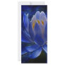 Lotus flower and its meaning rack cards