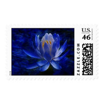 Lotus flower and its meaning stamps